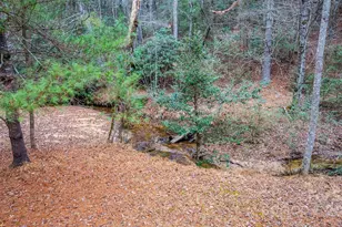 3348 Christie Rd, Hudson, NC 28638 - Photo 44