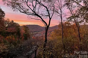 3302 Timber Trail, Asheville, NC 28804 - Photo 2