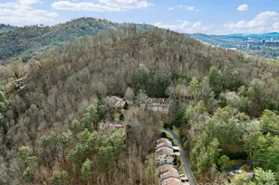 3302 Timber Trail, Asheville, NC 28804 - Photo 48