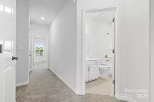 10138 Hemingway Pl, Mint Hill, NC 28227 - Photo 20