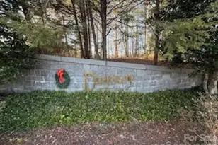 183 Williams Meadow Loop, Hendersonville, NC 28739 - Photo 30