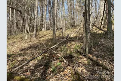 1 Pink Fox Cove Road, Weaverville, NC 28787 - Photo 12