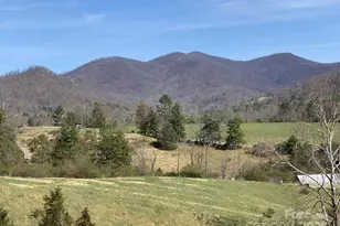 1 Pink Fox Cove Rd, Weaverville, NC 28787 - Photo 1