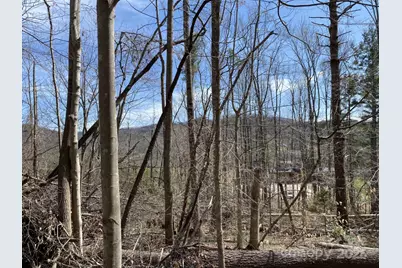 1 Pink Fox Cove Road, Weaverville, NC 28787 - Photo 8