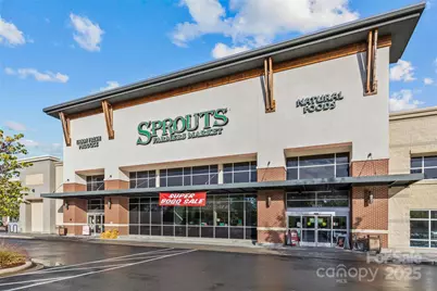 11209 Flenniken Court, Charlotte, NC 28277 - Photo 32