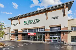 11209 Flenniken Ct, Charlotte, NC 28277 - Photo 32