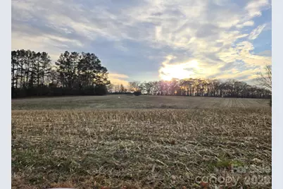 00000 Newt Road, Albemarle, NC 28001 - Photo 1