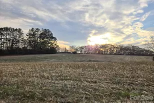 00000 Newt Rd, Albemarle, NC 28001 - Photo 1