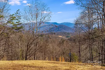 15 Cyrus Lane, Weaverville, NC 28787 - Photo 34