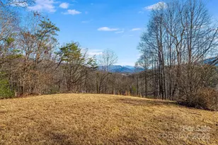 15 Cyrus Ln, Weaverville, NC 28787 - Photo 28