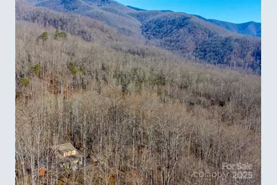 1226 Monteith Branch Road, Sylva, NC 28779 - Photo 4