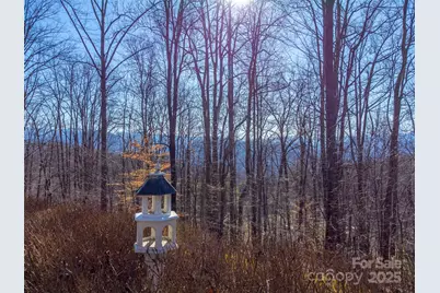 1226 Monteith Branch Road, Sylva, NC 28779 - Photo 6