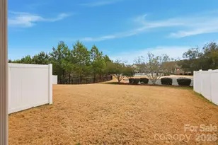 7006 Swamp Chestnut Ln, Fort Mill, SC 29707 - Photo 26