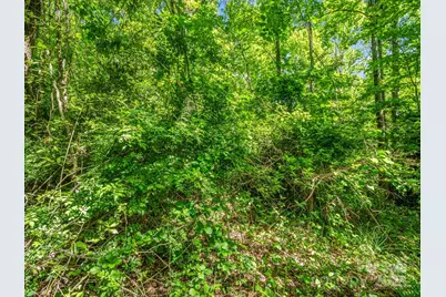 00000 Hamilton Acres Drive #4, 5, & 6, Hendersonville, NC 28791 - Photo 10