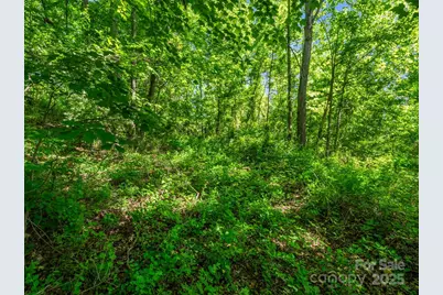 00000 Hamilton Acres Drive #4, 5, & 6, Hendersonville, NC 28791 - Photo 4