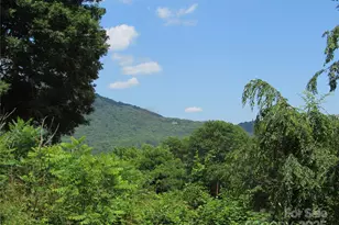 Lt#4 Mystic View Ln, Black Mountain, NC 28711 - Photo 1