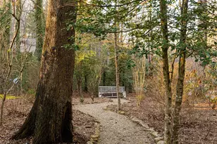 100 Wolf Shoals Dr, Hendersonville, NC 28739 - Photo 46