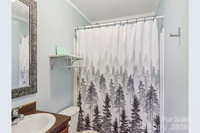 3195 N Clear Creek Road, Hendersonville, NC 28792 - Photo 14