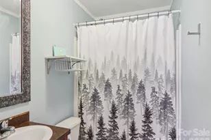 3195 N Clear Creek Rd, Hendersonville, NC 28792 - Photo 14