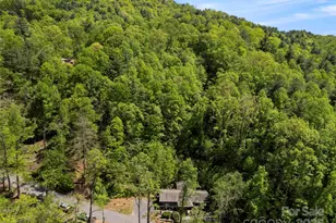 403 Baird Cove Rd, Asheville, NC 28804 - Photo 20