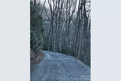 9999 Tessie Lane, Black Mountain, NC 28711 - Photo 4