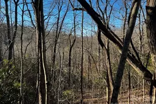 9999 Tessie Ln, Black Mountain, NC 28711 - Photo 1