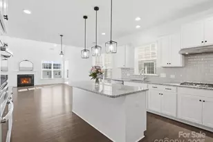 1005 Argentium Way, Waxhaw, NC 28173 - Photo 14