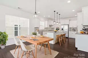 1005 Argentium Way, Waxhaw, NC 28173 - Photo 10