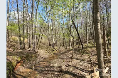 Lot 26 Grandview Drive #26, Rutherfordton, NC 28139 - Photo 6
