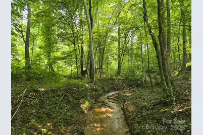 Lot 26 Grandview Drive #26, Rutherfordton, NC 28139 - Photo 2