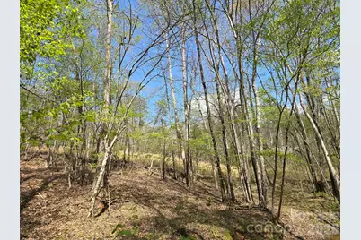 Lot 26 Grandview Drive #26, Rutherfordton, NC 28139 - Photo 4