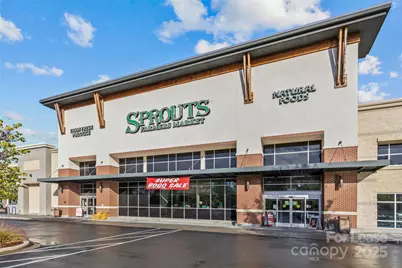 11209 Flenniken Court, Charlotte, NC 28277 - Photo 28