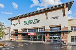 11209 Flenniken Ct, Charlotte, NC 28277 - Photo 28