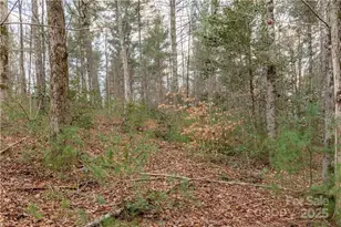 1209 Lakeside Way NW, Valdese, NC 28690 - Photo 1