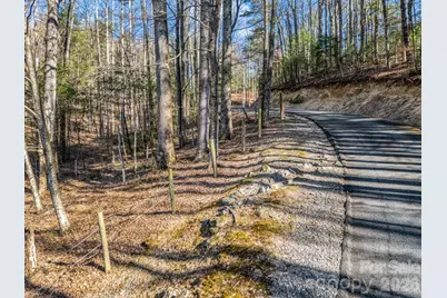 109 Justamere Lane, Hendersonville, NC 28739 - Photo 4