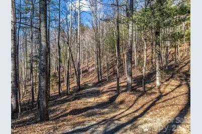 171 Justamere Lane, Hendersonville, NC 28739 - Photo 2