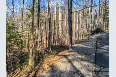 181 Justamere Lane, Hendersonville, NC 28739 - Photo 6