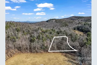 181 Justamere Lane, Hendersonville, NC 28739 - Photo 8