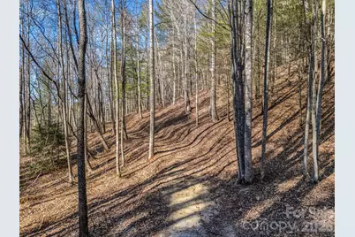 181 Justamere Lane, Hendersonville, NC 28739 - Photo 12