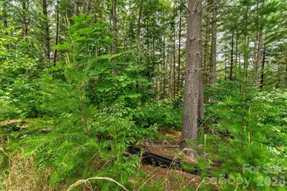 17 Aqua Vista Way, Nebo, NC 28761 - Photo 4