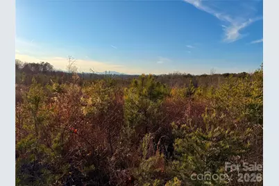 0 Brady Hampton Drive, Rutherfordton, NC 28139 - Photo 2