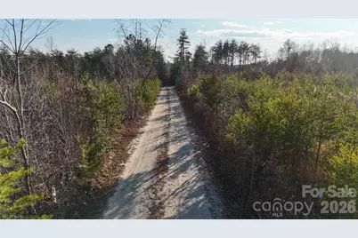 0 Brady Hampton Drive, Rutherfordton, NC 28139 - Photo 14