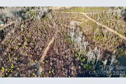 0 Brady Hampton Drive, Rutherfordton, NC 28139 - Photo 10