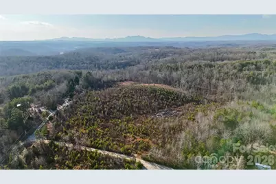 0 Brady Hampton Drive, Rutherfordton, NC 28139 - Photo 20