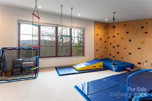 42 Towering Oaks Ln, Asheville, NC 28805 - Photo 26