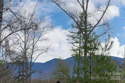 42 Towering Oaks Lane, Asheville, NC 28805 - Photo 2