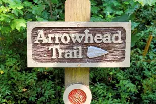 30 Red Oak Forest Rd, Fairview, NC 28730 - Photo 44