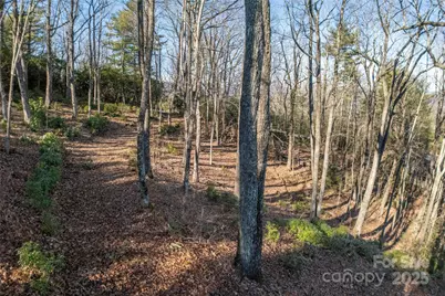 Lot 25 Lakeside Trail, Lake Toxaway, NC 28747 - Photo 2