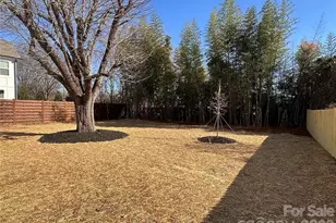 1344 Richland Dr, Charlotte, NC 28211 - Photo 2