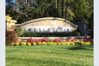 6706 Blackwood Lane, Waxhaw, NC 28173 - Photo 48